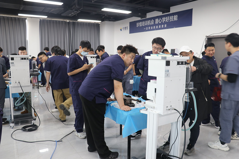 德菲医疗麻醉工作站助力宠壹堂麻醉实操班顺利开讲