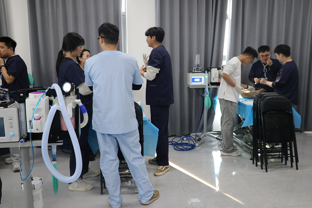 德菲医疗麻醉工作站助力宠壹堂麻醉实操班顺利开讲