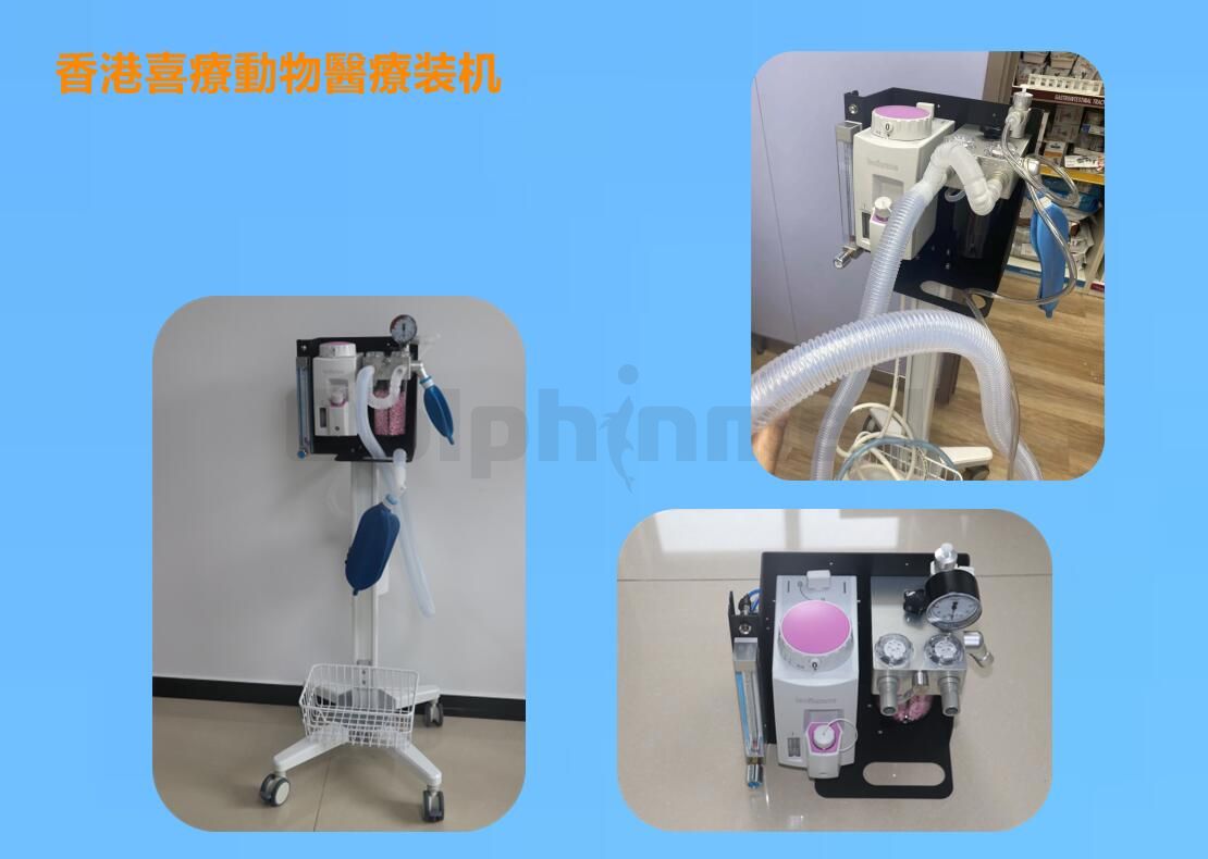 香港喜療動物醫療服務有限公司装机