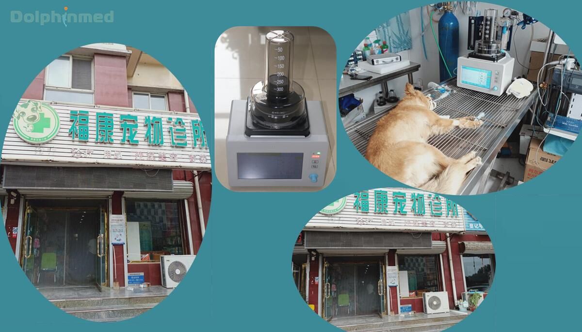 恭喜天津福康宠物诊所装机德菲智能宠物呼吸机